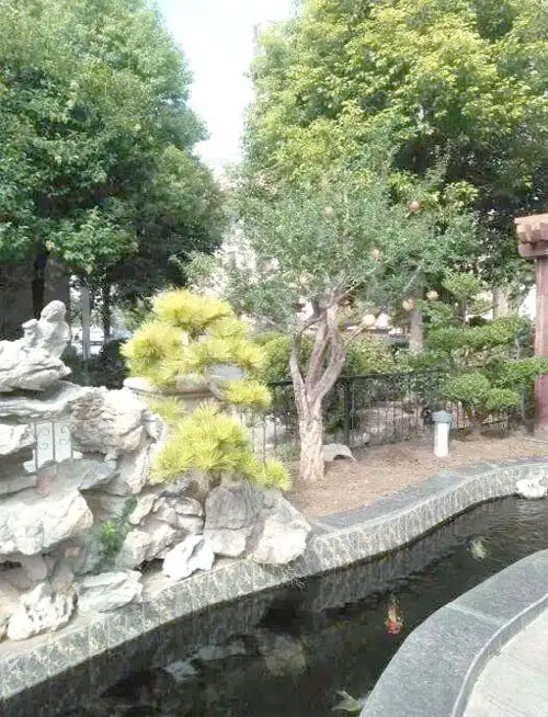 合肥假山鱼池