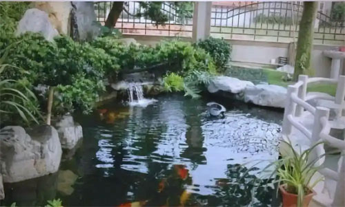 合肥家庭院假山鱼池